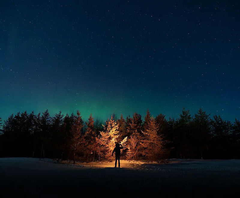厳冬のセントローレンス川クルーズ 15日間