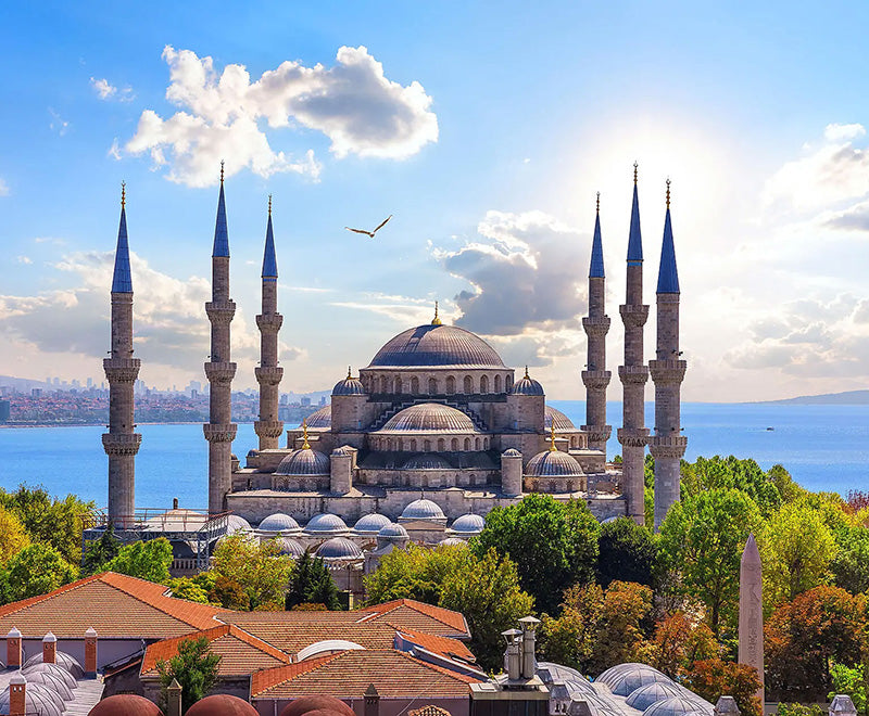 エーゲ海クルーズ トルコとギリシャの島々 8日間