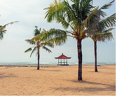 石垣発/ベノア着 オーシャンボヤージュ(ポジショニング) 11日間