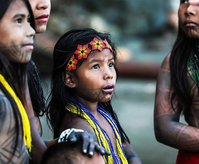 コロン発 / カヤオ着| パナマの大自然とペルーの海岸 11日間
