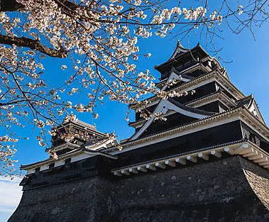 熊本発/基隆着|オーシャンボヤージュ(ポジショニング)4日間