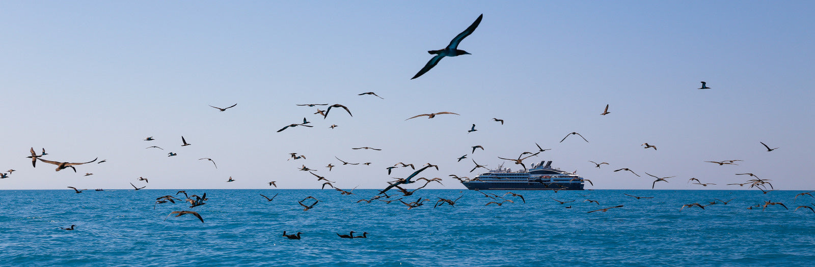 articles/023-Lacepede_Islands.jpg