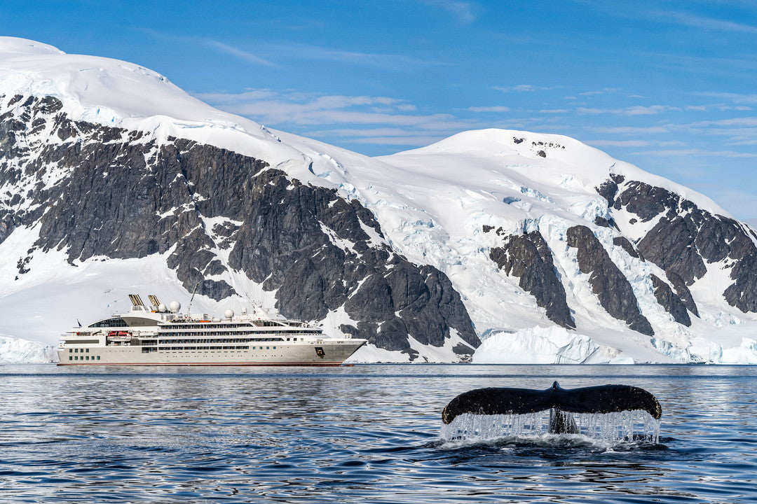 PONANT POLAR EXPEDITION ジャケット 南極・北極クルーズ ポナン 南極・北極クルーズ－ マーキュリートラベル