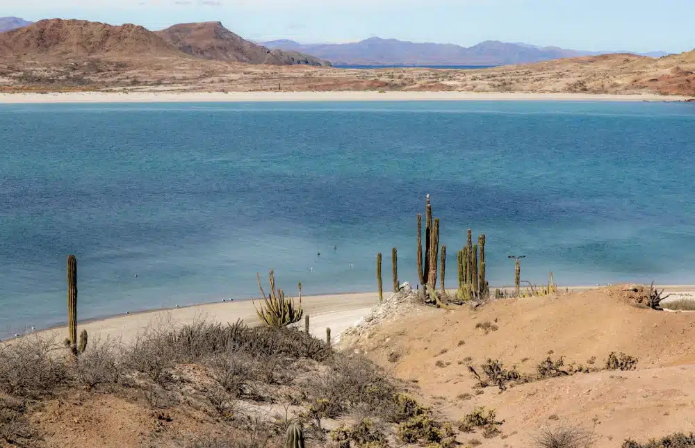 バハ カリフォルニアへの調査旅