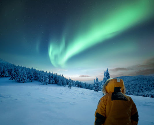 2026年 砕氷船でゆく冬の北欧クルーズ｜ヘルシンキ前/後プログラム プレゼントキャンペーン