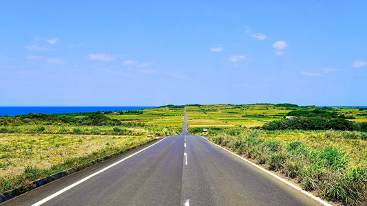 メディア掲載情報：「クレア ウェブ」にル ソレアル 鹿児島県・喜界島寄港の記事が掲載されました。