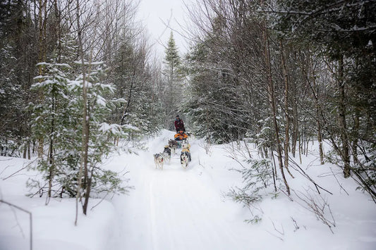 【期間限定キャンペーン】冬のセントローレンス川クルーズ｜乗船前/後プログラムプレゼント！