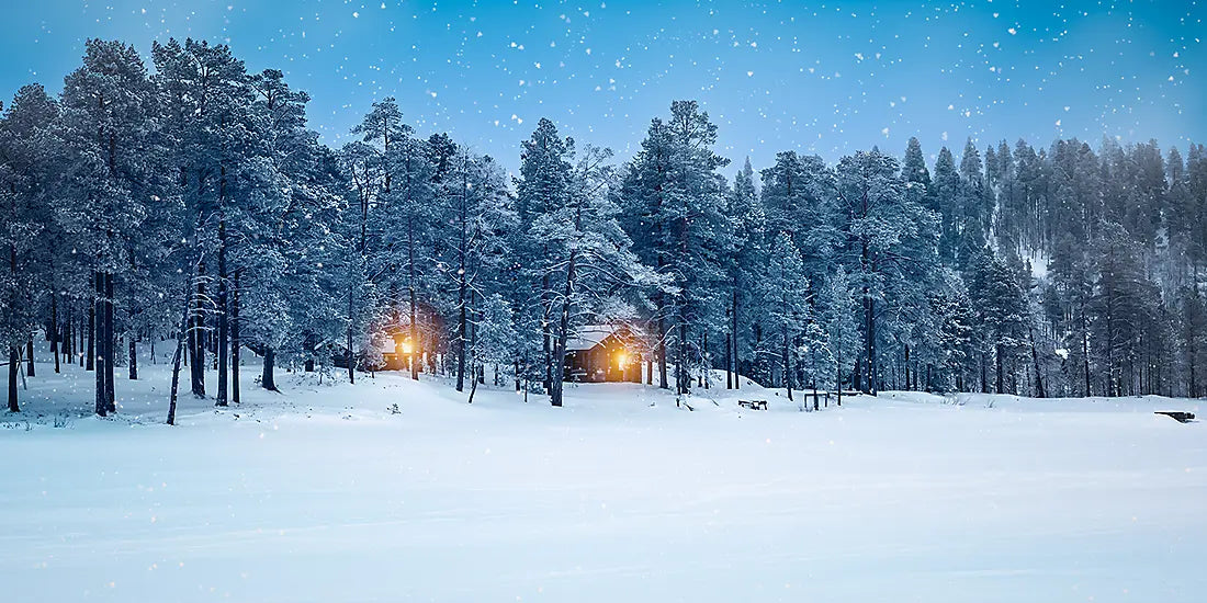 ヘルシンキ発 / ケミ着｜北極への玄関口 ボスニア湾クルーズ　9日間