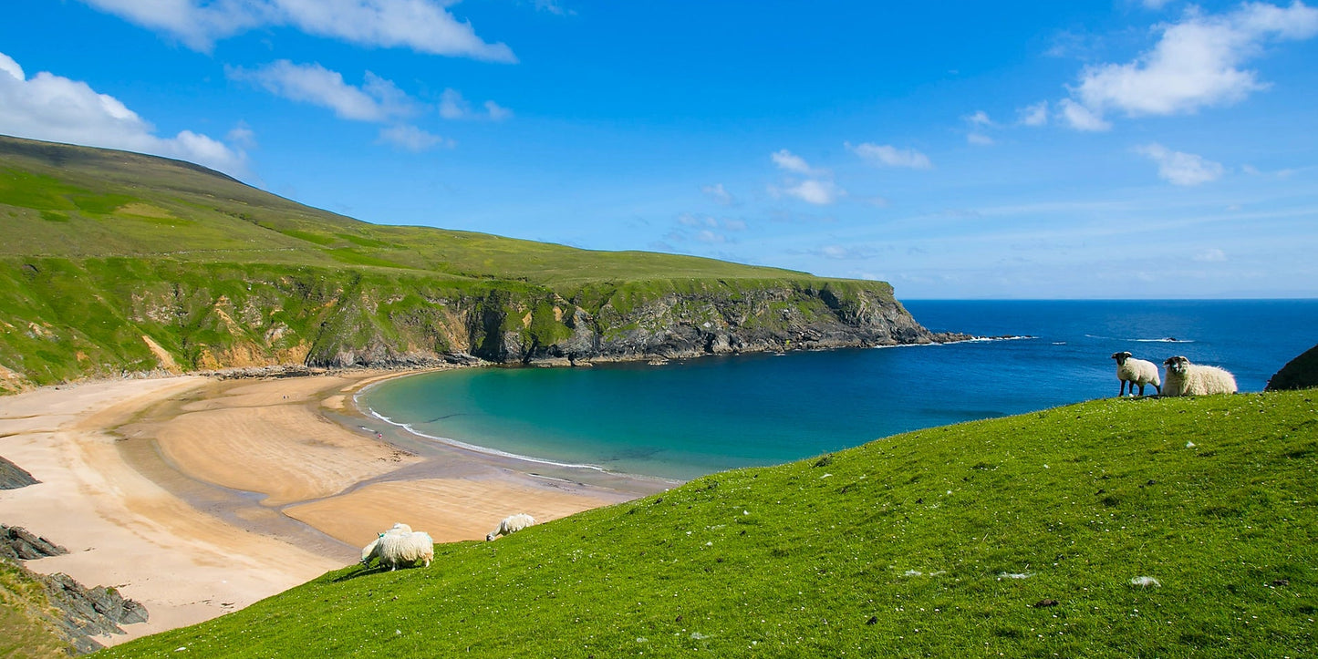 ケルトのパノラマ景観をめぐる航海　10日間
