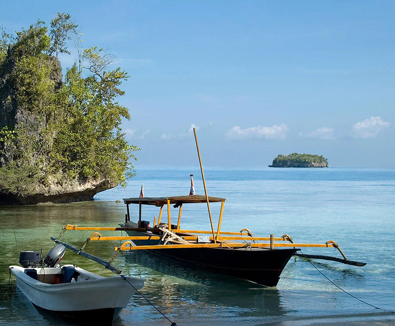 バリ島発 / ダーウィン着｜インドネシアの島々めぐりクルーズ  13日間