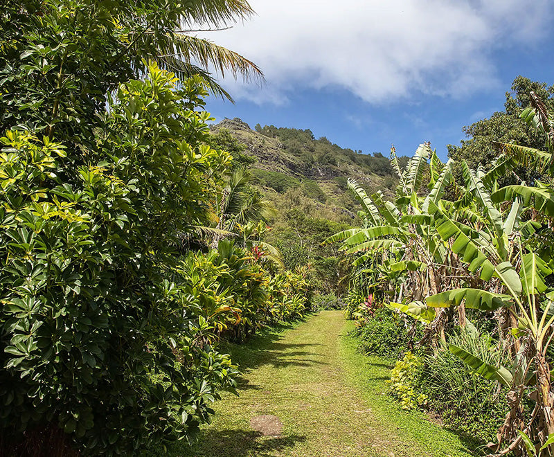 タヒチ発着｜ソシエテ諸島からオーストラル諸島へ 15日間