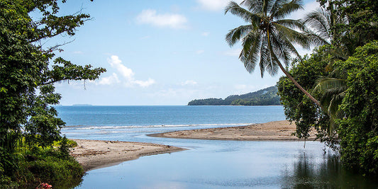 ラウトカ発 / グアム着｜フィジーからミクロネシアへ	17日間