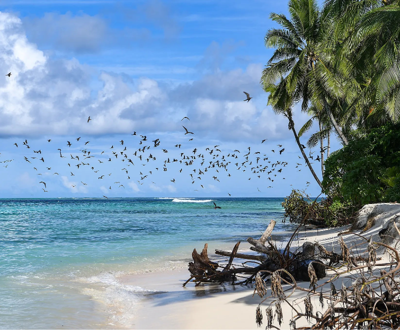 ダーウィン発 / ケアンズ着｜ニューギニア島周遊クルーズ 17日間