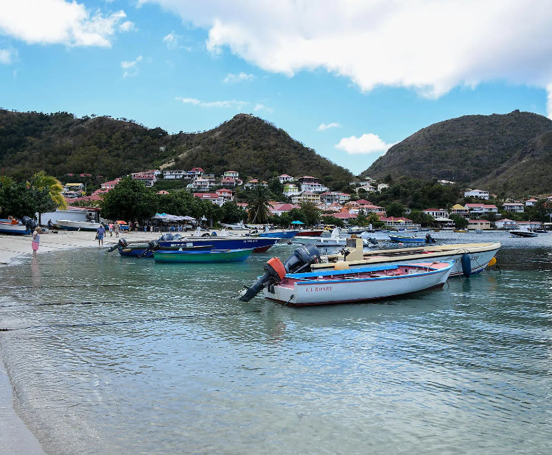 フォール ド フランス発着｜カリブの魅力 8日間