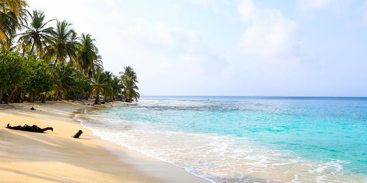 コロン発 / カヤオ着｜ パナマの大自然とペルーの海岸 11日間