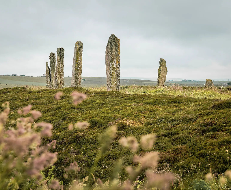 トロムソ発 / グラスゴー着｜音楽クルーズ 11日間