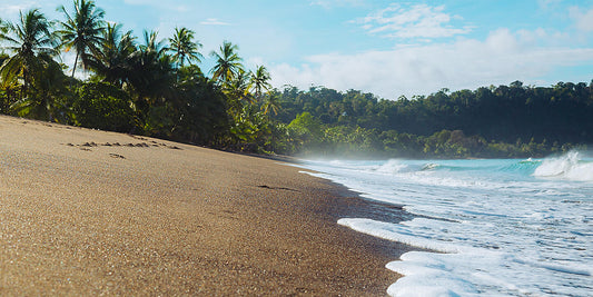 プンタアレナス発着｜コスタリカ太平洋岸クルーズ  8日間