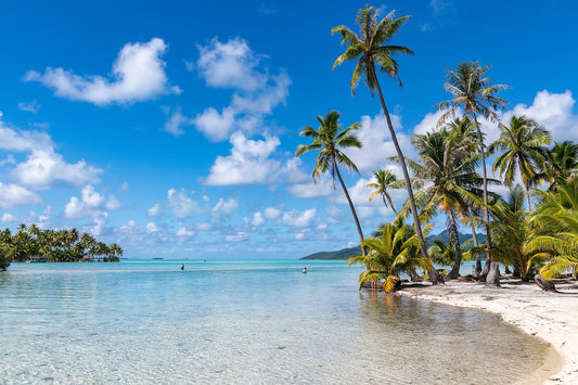 ポールゴーギャン　タヒチ周遊　マルケサス諸島・ツアモツ諸島・ソシエテ諸島 15日間[2028年]