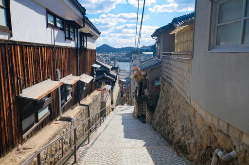 探険家