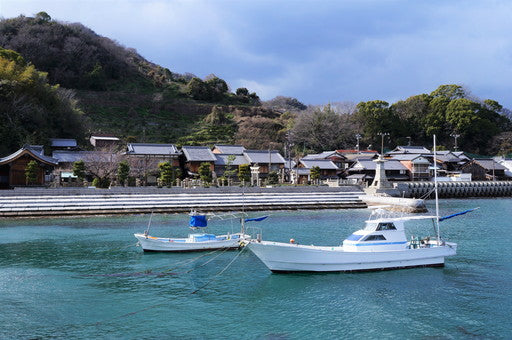 氷壁
