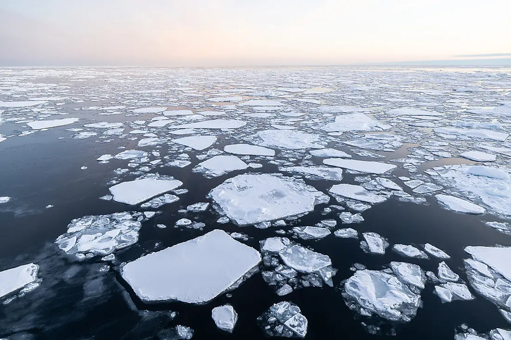 【シングル追加料金無料】雪と氷に覆われた春の北極圏　知られざるグリーンランド西部・イヌイットの世界へ