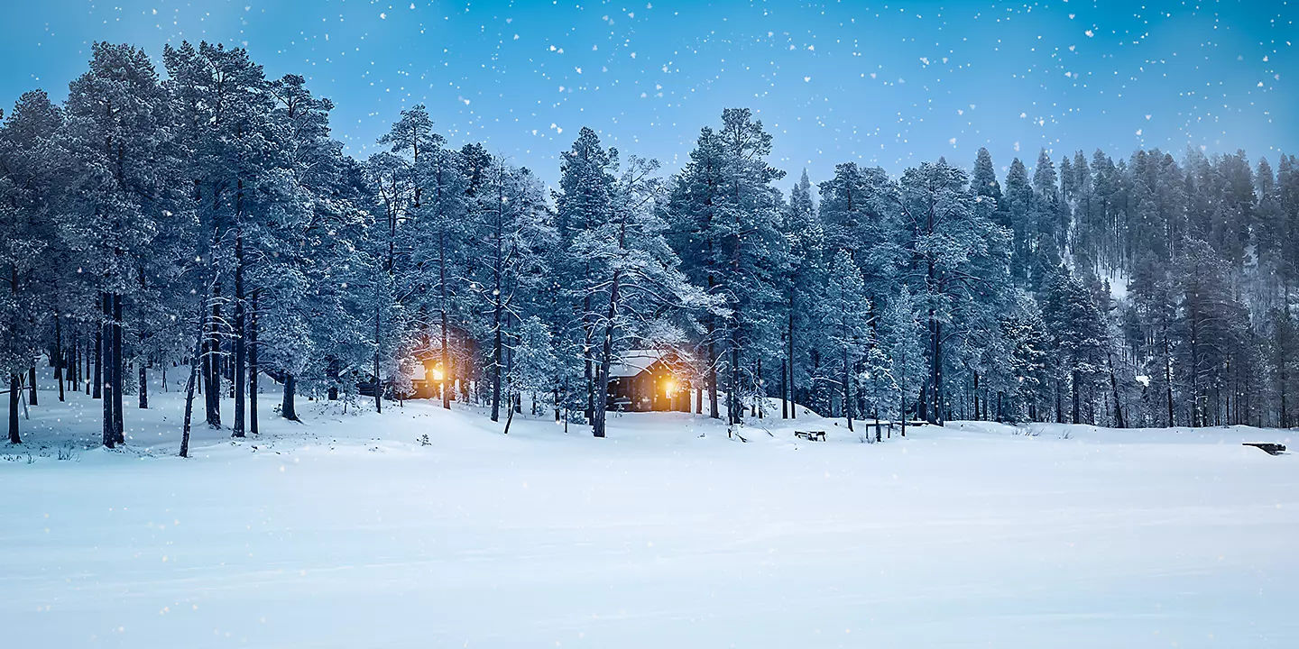 【シングル追加料金無料】サンタの国フィンランドから北欧を巡るクリスマスクルーズ