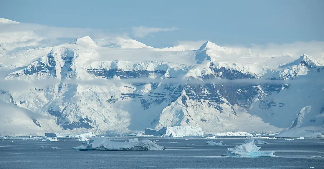 【シングル追加料金無料】フォークランド諸島、サウスジョージア島、南極半島を巡る　南極海クルーズ
