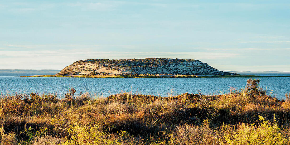 大自然の宝庫　フォークランド諸島とサウスジョージア島、バルデス半島へ	20日間 [2028年3月発]