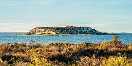 大自然の宝庫　フォークランド諸島とサウスジョージア島、バルデス半島へ	20日間 [2028年3月発]