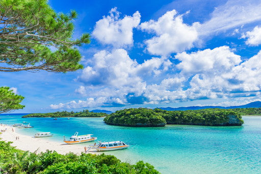 【日本語スタッフ乗船】【シングル追加料金無料】沖縄から台湾へ　小さな島々をめぐる旅